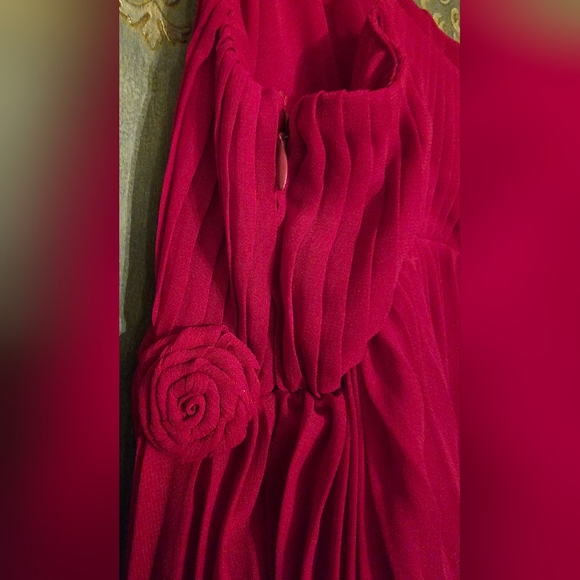 NICOLE by Nicole Miller Rose Buds Flouncy Pleated Dress (4) - Picture 6 of 12